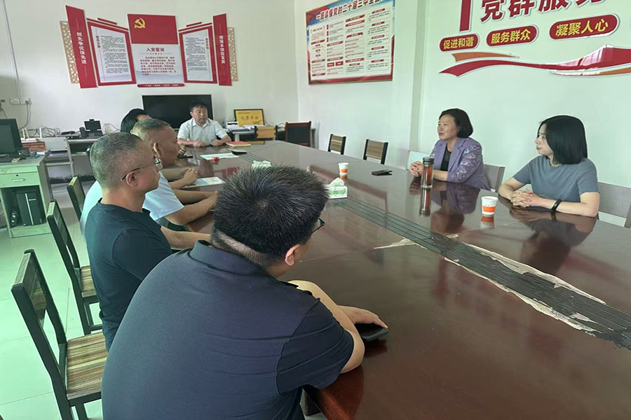 市委党校分管日常工作副校长苏红
